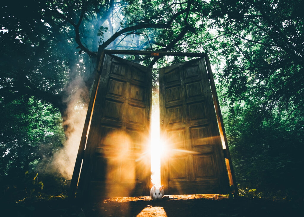 Visuel d'une porte en plaine forêt s'ouvrant et affichant un radieux soleil de laquelle sort un lapin blanc se dirigeant vers nous pour symboliser l'ouverture au Vivant en Terre de Rêves